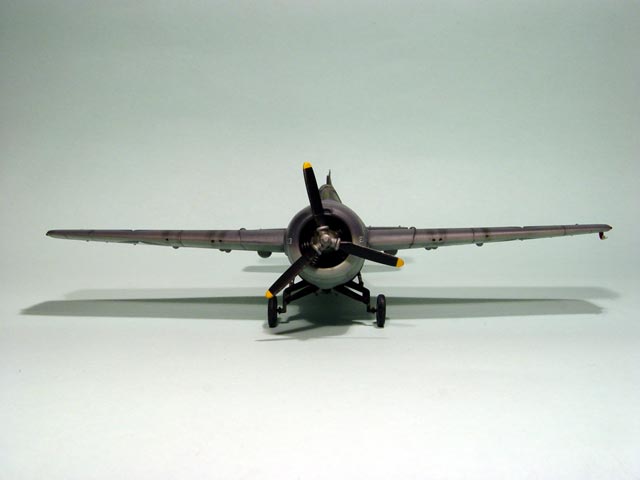 56.jpg
